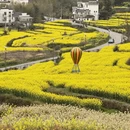 黄山旅游 缩略图 8