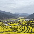 黄山旅游 缩略图 6