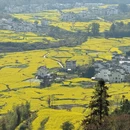黄山旅游 缩略图 16