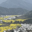 黄山旅游 缩略图 5