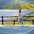 黄山旅游 缩略图 1