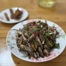 黄山旅游 缩略图 11