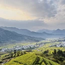 黄山旅游 缩略图 4