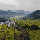 黄山旅游 缩略图 5