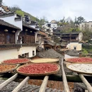 黄山旅游 缩略图 5