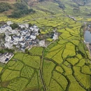 黄山旅游 缩略图 7