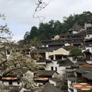 黄山旅游 缩略图 4
