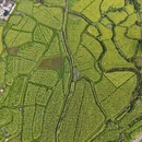 黄山旅游 缩略图 8