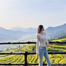黄山旅游 缩略图 6