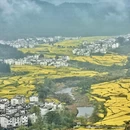 黄山旅游 缩略图 1