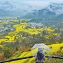黄山旅游 缩略图 13
