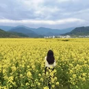 黄山旅游 缩略图 10