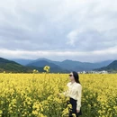 黄山旅游 缩略图 11