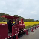 黄山旅游 缩略图 17