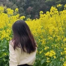 黄山旅游 缩略图 16