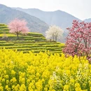 上饶旅游 缩略图 6