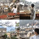 上饶旅游 缩略图 9
