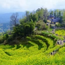 黄山旅游 缩略图 1