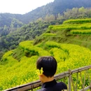 黄山旅游 缩略图 2