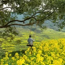 上饶旅游 缩略图 1