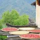 黄山旅游 缩略图 6