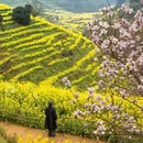 上饶旅游 缩略图 2