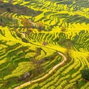 上饶旅游 缩略图 9