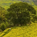 上饶旅游 缩略图 8