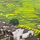 上饶旅游 缩略图 5