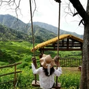 黄山旅游 缩略图 10