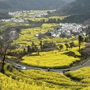 黄山旅游 缩略图 2