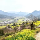 黄山旅游 缩略图 8