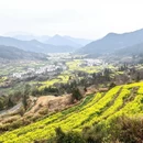 黄山旅游 缩略图 7