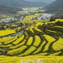黄山旅游 缩略图 1