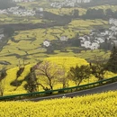 黄山旅游 缩略图 9