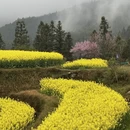 黄山旅游 缩略图 8