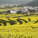 黄山旅游 缩略图 10