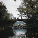 上饶旅游 缩略图 10