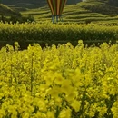 上饶旅游 缩略图 13