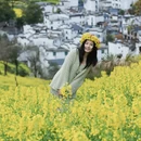 黄山旅游 缩略图 1