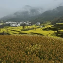 上饶旅游 缩略图 14