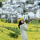 黄山旅游 缩略图 7