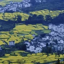 黄山旅游 缩略图 6
