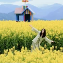 黄山旅游 缩略图 3