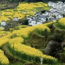 黄山旅游 缩略图 2
