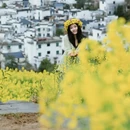 黄山旅游 缩略图 14