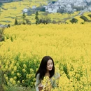 黄山旅游 缩略图 12
