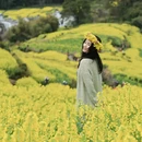 黄山旅游 缩略图 15