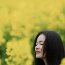 黄山旅游 缩略图 17