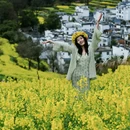 黄山旅游 缩略图 8